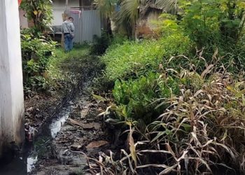 Meraup Untung Berujung Buntung: Rendahnya Kepedulian Masyarakat Terhadap Kelestarian Tanah