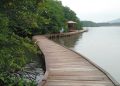 Ekowisata Hutan Mangrove, Yuk Kunjungi!